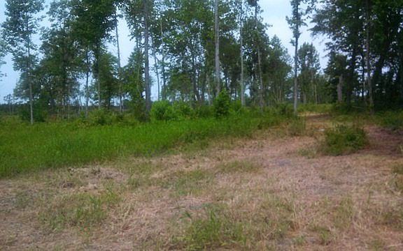 2nd image of 0 E Nc Highway 92