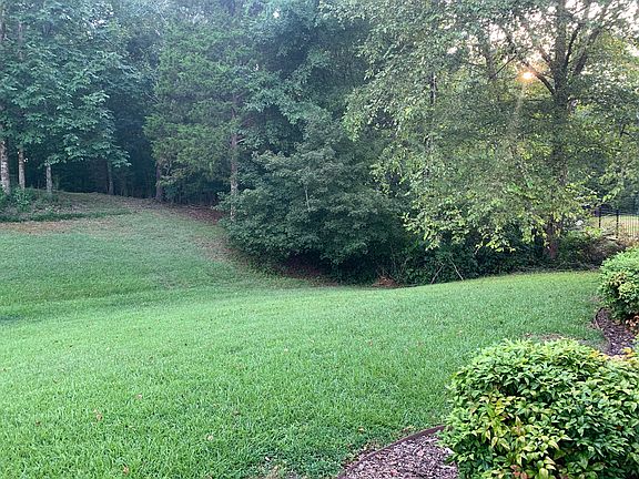 Front lawn.
