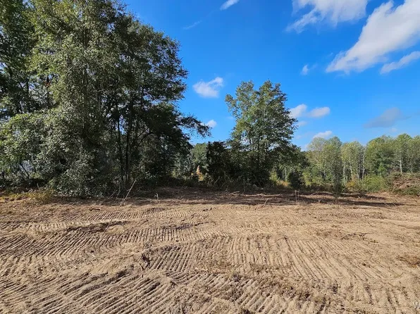 LOT Ammons Pond Rd, Midland City, AL 36350