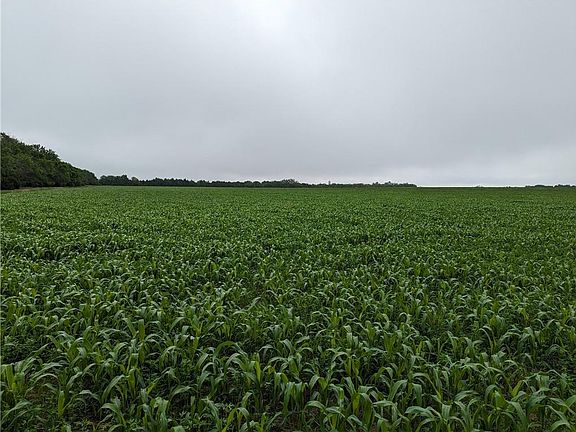 5th image of 1800 Road