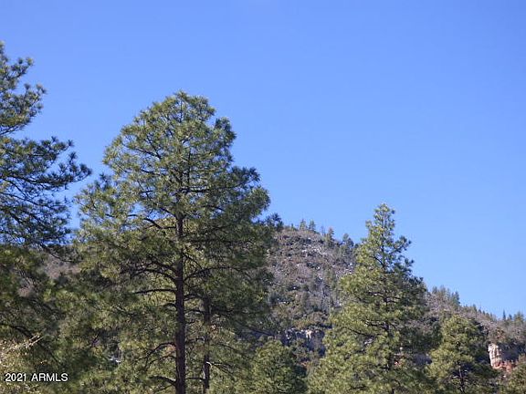 3rd image of Lot 48 W Forest Trail #48