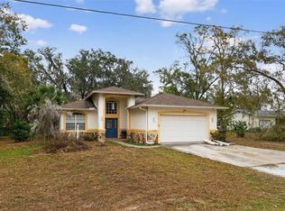1006 Bell Shoals Ln, Brandon, FL 33511