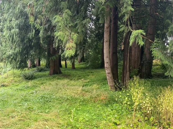 10 XX N 14th Street, Mount Vernon, WA 98273