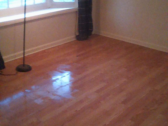 3rd image of 14027 Mathews Dr