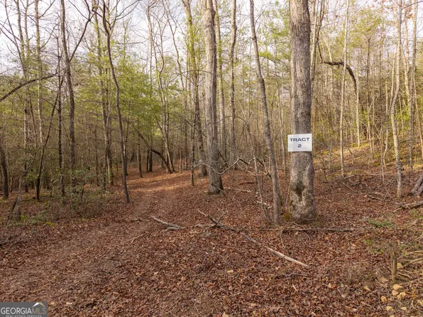 Township Road 2 East New Hope Rd, Ellijay, GA 30536