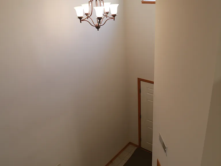 8941 Venice Ln — Photo 14
