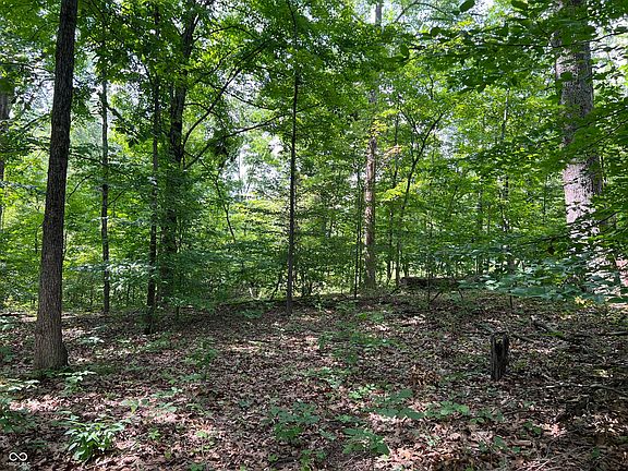 3rd image of 3501 S Swartz Ridge Rd