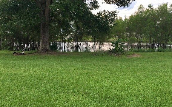 2nd image of 213 Blue Grass Dr