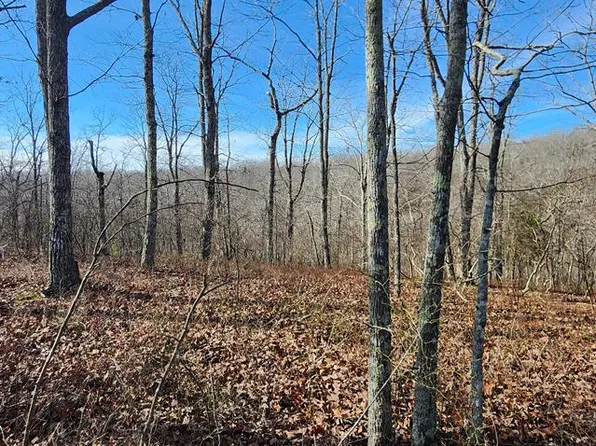 Id 14 Overlook Dr, Holladay, TN 38341