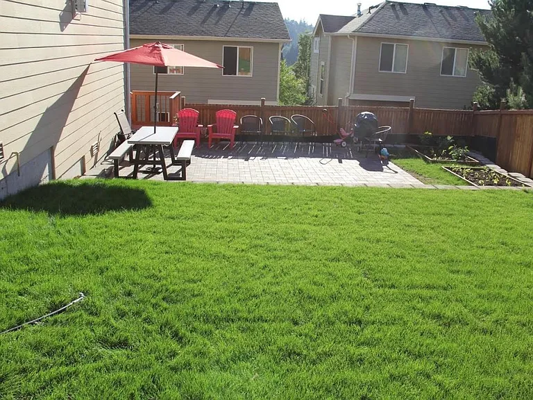 Yard