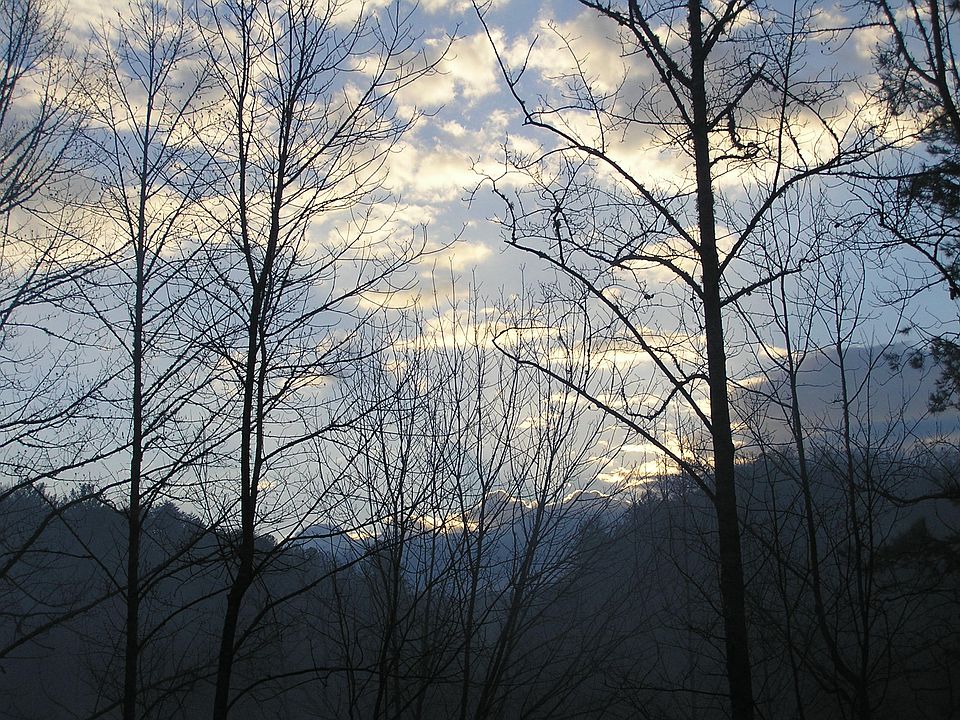 Facing East at sunrise 