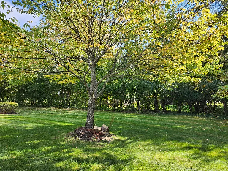 45011 Byrne Dr — Photo 8