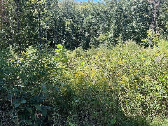 4th image of 223 Clear Springs Rd Lot 53-B