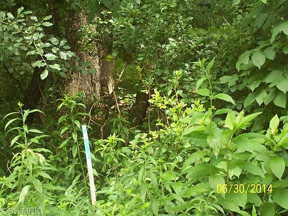 3rd image of 14365 Pinewood Dr