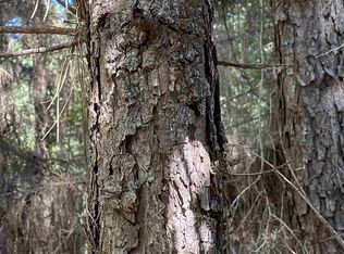 Fm 555, Gilmer, TX 75683