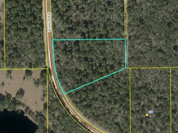 SE Black Hawk Dr Lot 41, Lee, FL 32059