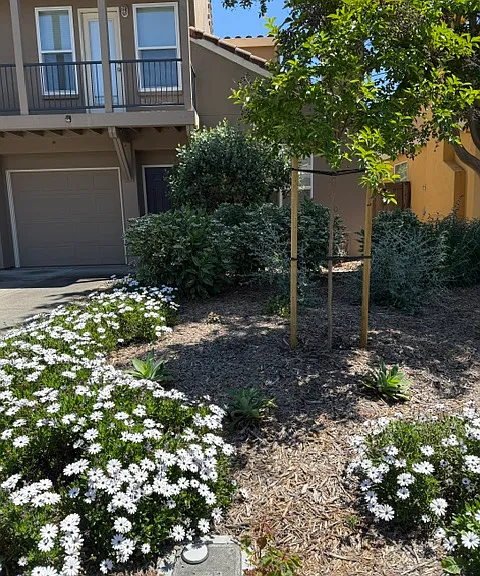 Arnold Dr — Photo 21