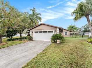 643 Satinleaf Ave, Oldsmar, FL 34677