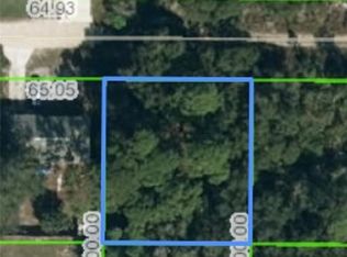 254 Caspian Tern Ave, Sebring, FL 33870