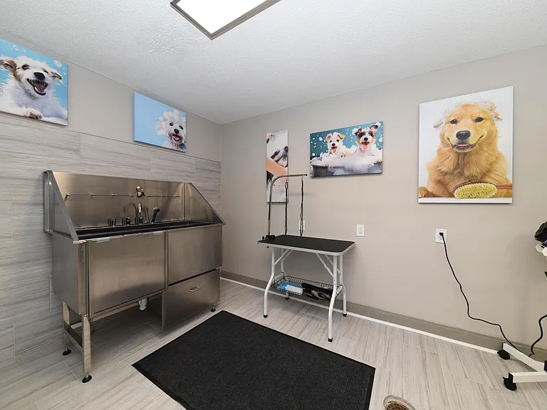 Paw Spa