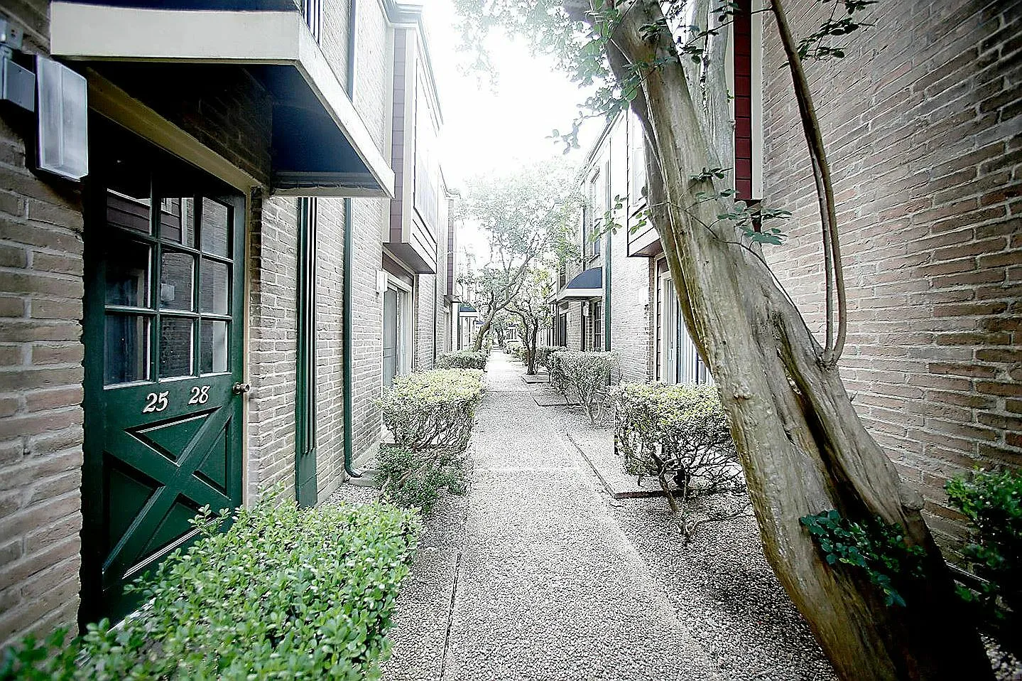 Forest Oaks Apartments — Photo 2