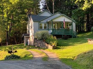 210 Page Pond Rd, Deposit, NY 13754