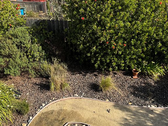 Rear yard