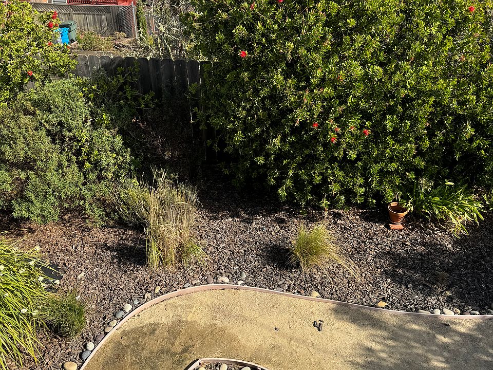 Rear yard