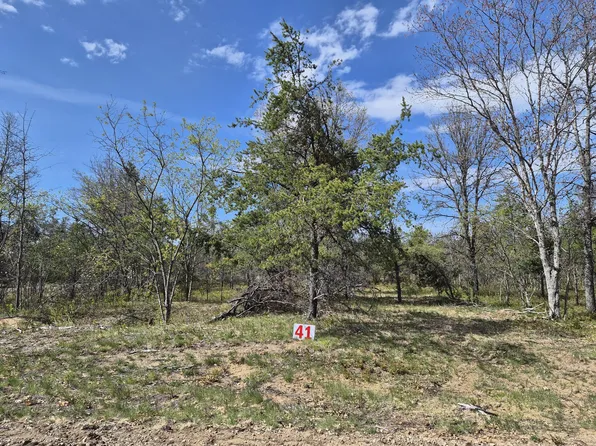 LOT 41 Northwood Dr, Grayling, MI 49738