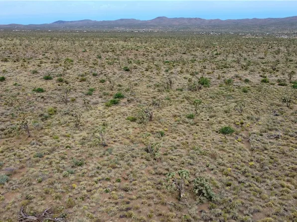 LOT 175 N Quaint Dr, Dolan Springs, AZ 86441