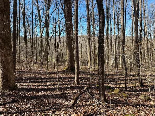4112 Cosby Hwy, Cosby, TN 37722