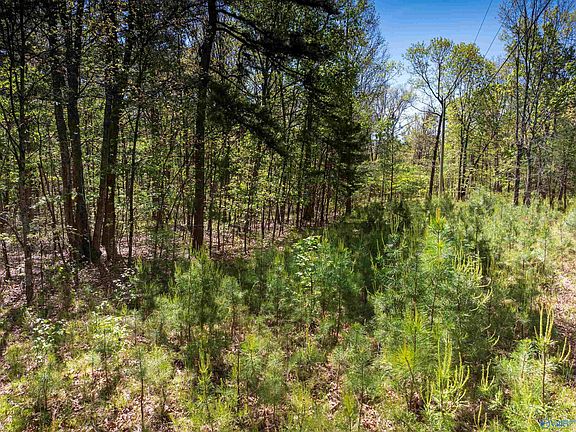5th image of Off Of County Rd #106