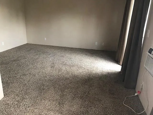New Carpet