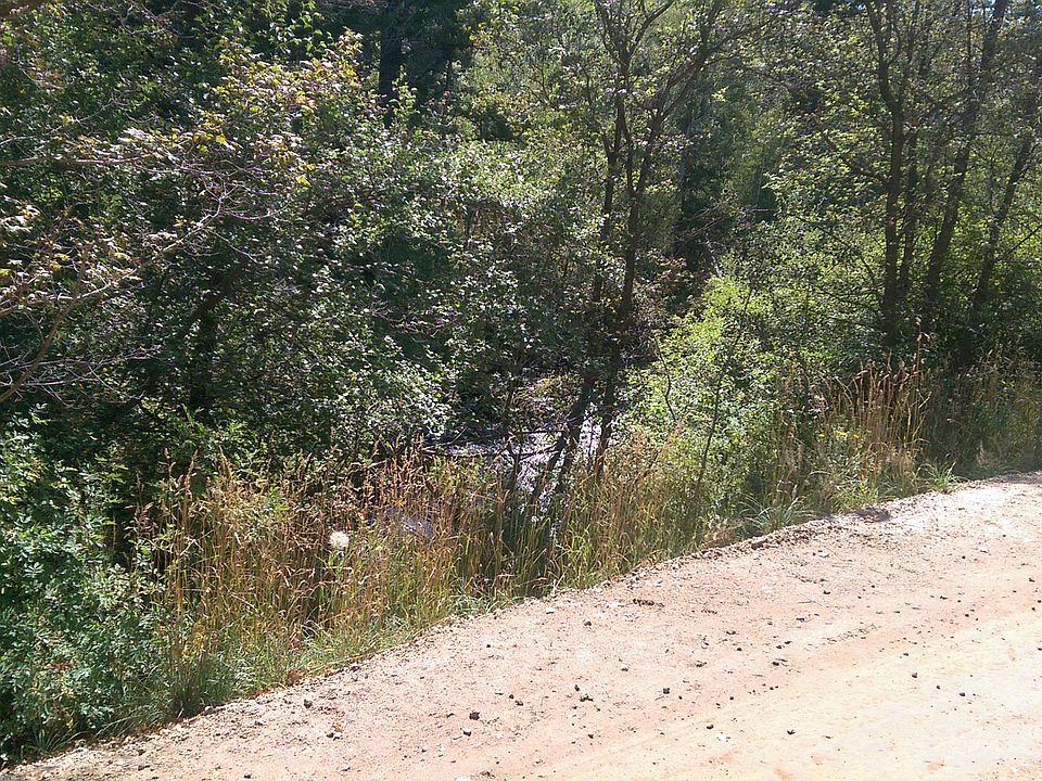 1st image of 1335 W. Swan Creek Springs