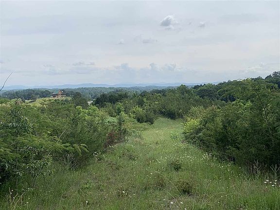 4th image of Blue Springs Pkwy
