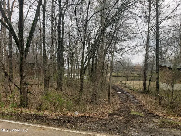 4025 Windermere Dr #342, Nesbit, MS 38651