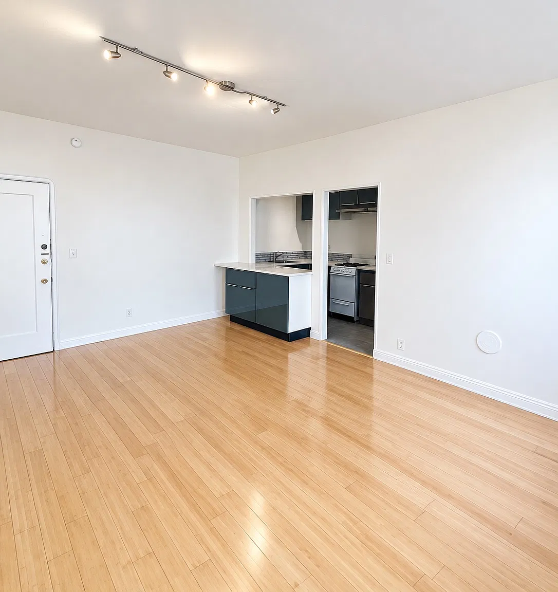 133 S Elm Dr — Photo 3