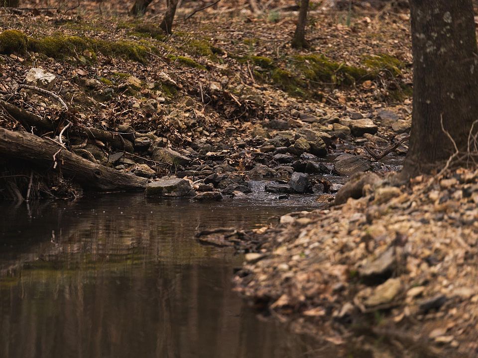 1st image of Polk Rd #615