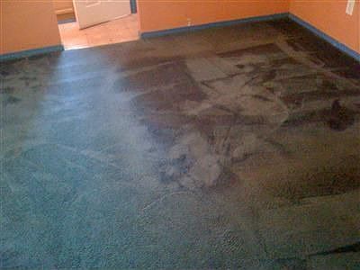2nd image of 2020 Hollister St