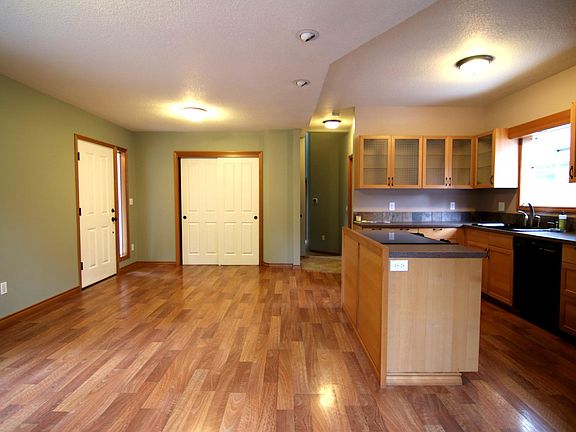 Living room / Kitchen