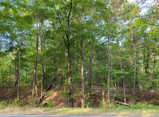 25 Box Springs Spur, Box Springs, GA 31801