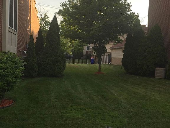 Adjacent Yard that is shared with immediate neighbors