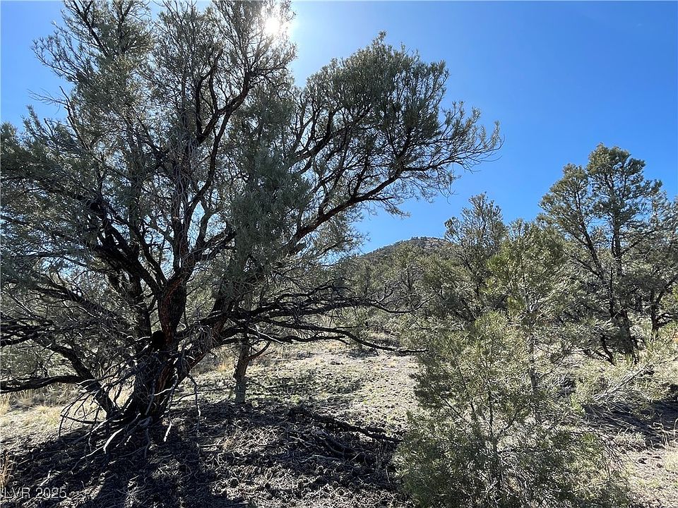 2nd image of P 12 Butte Valley
