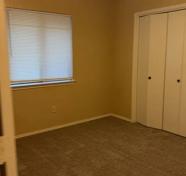 5310 Pampas Ct — Photo 8