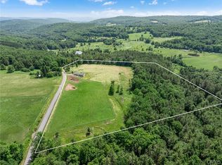 481 Hell Hollow Rd, Otego, NY 13825