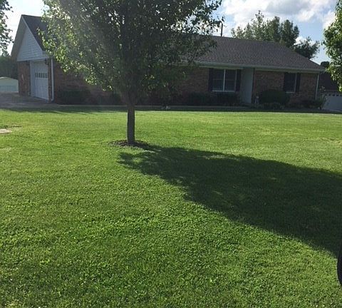 3rd image of 317 New Paradise Ln