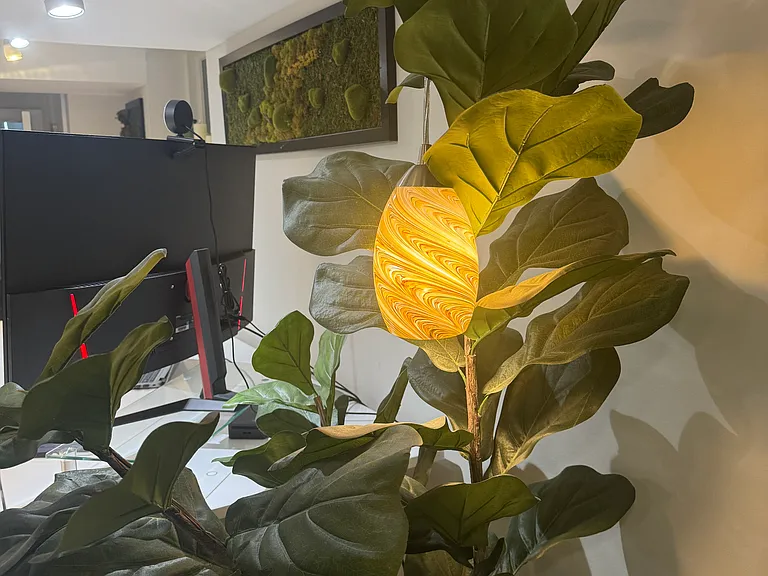 Soft lighting.