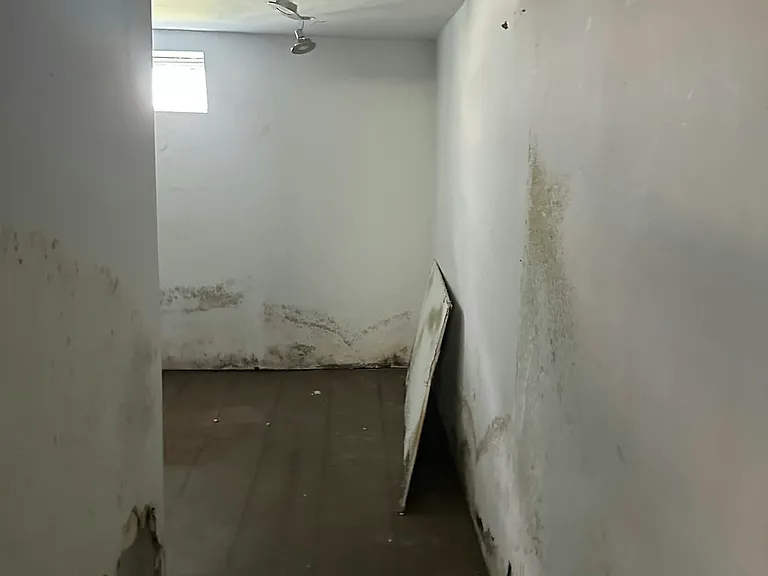 2121 N Prospect Rd — Photo 5