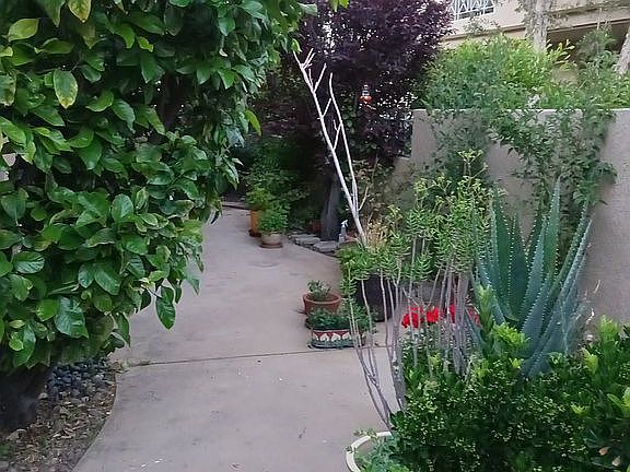 4th image of 23735 Del Monte Dr Unit 169
