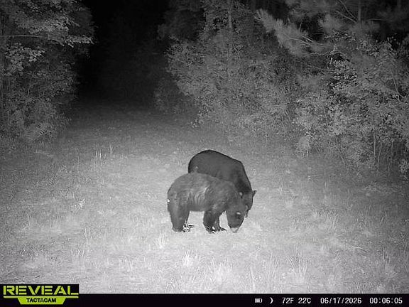 3rd image of 0 Pine Street Rd